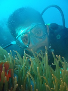 Penulis sedang menikmati keindahan laut Indonesia di perairan Bali di kedalaman 35 meter